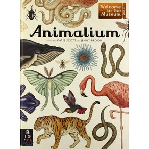 Animalium, Big Pictue Pess