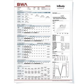 인바디 BWA 2.0 용지 결과지 종이 프린트 출력표 500매, 6.Option 결과지 500매, 1개