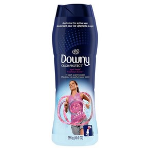 Downy Odo Potect In-Wash Scent Booste Beads Apil Fesh 다우니 오더 프로텍트 인워시 향 부스터 비즈 에이프릴 프레시 10온, 1개, null) 1, 10 Ounce (P