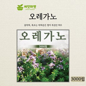 다농 오레가노 씨앗 3000립, 1개