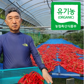 [산지직송] 유기농 건고추 햇건고추 말린고추 마른고추, 1개, 600g