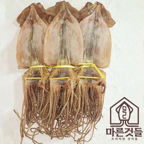 [마른것들] 건조 마른오징어 한축(20미) 건오징어, 10개, 85g