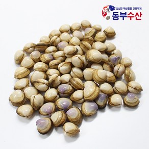 동부수산 인천 동죽조개 1kg 20~35마리 물총조개