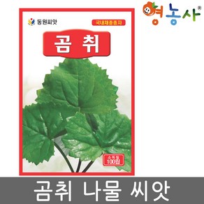 곰취 씨앗 100립 취나물 산나물 종자, 1개