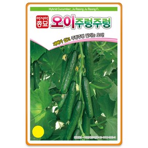 오이씨앗종자 주렁주렁 오이 10립 asa, 1개