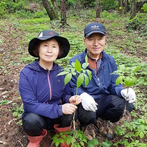 장뇌삼 산양삼 자연산 산삼 8년근 5뿌리 1등급 국내산 인삼, 1개, 단품