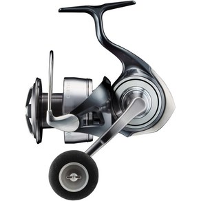 Daiwa LT4000-CXH 24 다이와 LT4000-C 세르테이트, LT5000D-XH