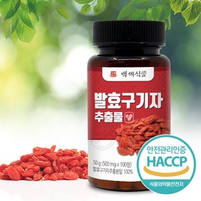 발효구기자 추출물 정 500mg 100정 HACCP 인증제품