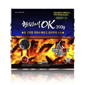 한방에 3초점화 착화숯 300g 1kg 2kg 캠핑 참숯 구이용 화로숯 착화탄 맹그로브 한방에참숯 캠핑 바베큐숯 불멍 업소 식당