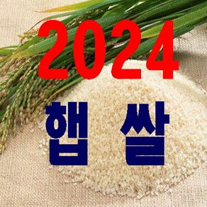 2024년 햅쌀 충남서천쌀10+미강, 10kg, 1개, 10kg