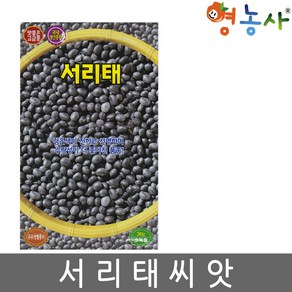 서리태 씨앗 30g 서리태콩씨 검은콩 종자, 1개