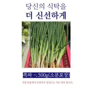 [야채농사꾼]쪽파 500g - (잔류농약검사 통과)