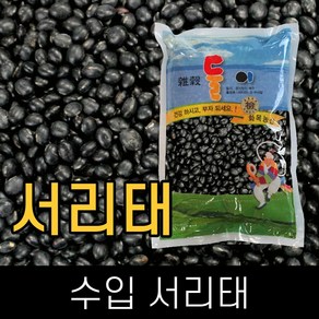 둘이 / 수입 / 검정콩(서리태) / 3kg / 2023년산 /, 1개