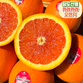 [당도선별] 프리미엄 카라카라 오렌지, 1개, 중과 88과