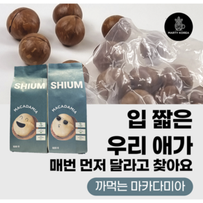 최상급 특대 마카다미아 까먹는 통마카다미아 진공포장, 1개, 500g