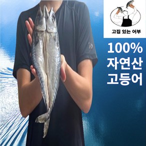 [100% 국내산] 청정해역 손질된 자연산 고등어 구이/조림용, 10개, 300g