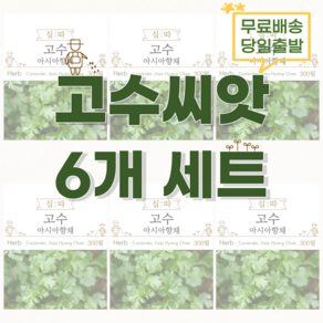 고수 씨앗 300립 2+1, 6개