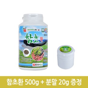 진짜배기순천만함초 진짜배기 함초환, 500g, 1개