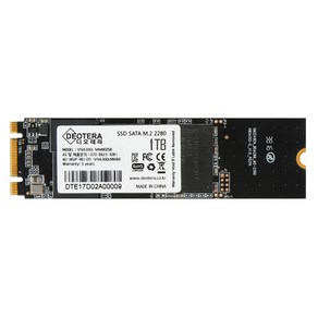 VIVA 300s M.2 LITE SSD