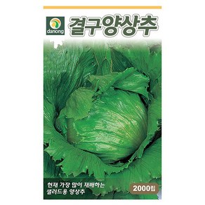 청로메인 상추 씨앗 2000립 - 상추씨앗 상추씨 청치마 쌈채소 야채씨앗 채소씨앗 채소재배 종묘 종자 베란다 텃밭 씨 씨앗, 1개