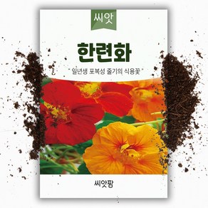 씨앗팜 야생화 꽃씨 한련화 종자 씨앗 (2g), 1개