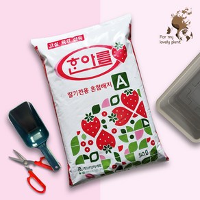 거목산업사 한아름 딸기상토 50L 분갈이흙 딸기 텃밭 배양토 피트모스, 1개