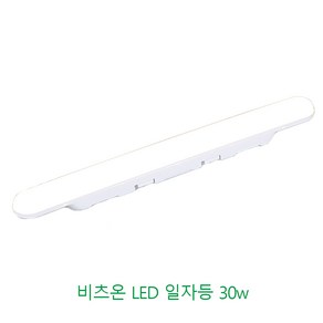 비츠온 일자등 LED 30w 사출2등 주광색(흰빛), 주광색, 1개