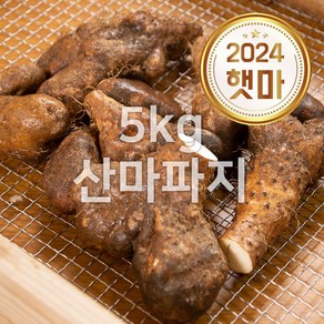 태산농장 안동 태산농장 산마 산약 참마, 1박스, 5kg (k.산마파지)