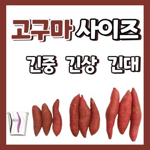 24년 햇 꿀밤고구마 긴사이즈 3kg 5kg 10kg 선택가능, 1박스, 긴사이즈상특 3kg(180~280g)