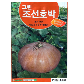 그린 조선호박 씨앗 20립 국내산 재래종 잎따먹는 호박종자 그린하트바이오, 1개
