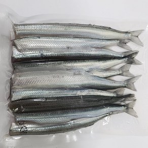 국내산 학꽁치회 원물500g 손질후350g 자연산 학꽁치회, 1개, 350g