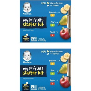 거버 퍼스트 프룻 스타터 키트 3종 Gebe My 1st Fuits State Kit, 336g