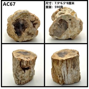 천연 백악기 목화석 나무 화석 규화목 천연목 원석, AC67