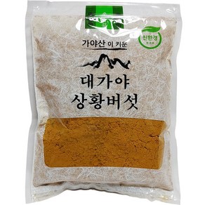 대가야 유기농 장수 상황버섯 분말 150g, 1개