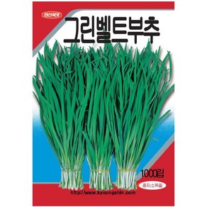 부추 씨앗 1000립 - 생육이 왕성하고 내병성이 강한 우수한 품종 부추씨 부추씨앗, 1개