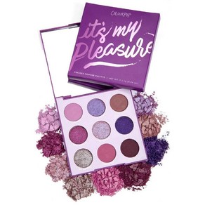 Coloupop Its My Pleasue Puple Eyeshadow Palette, 1개