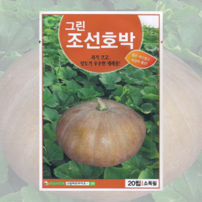 그린조선호박 씨앗 20립 [25년포장] 조선 호박 종자