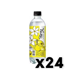 유자스파클링 페트음료 500ml x 24개