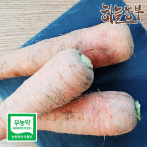 하늘농부 친환경 당근 500g, 1개