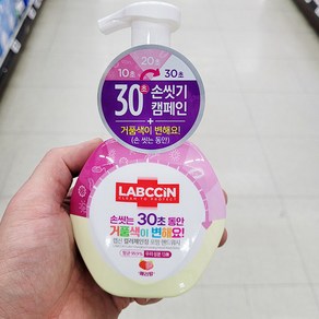 랩신 컬러체인징 포밍 핸드워시 베리향, 250ml, 1개