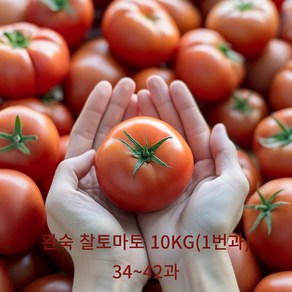 [신선보장] 아침에 따서 그날 보내는 완숙토마토, 1번가, 1개, 10kg