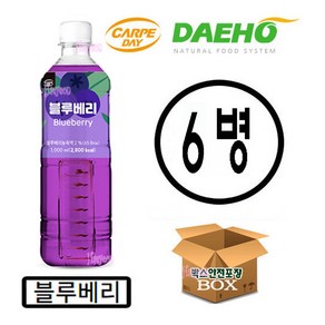 까르페 블루베리차 1000ml X 6개 액상 과일 음료 아이스티 원액