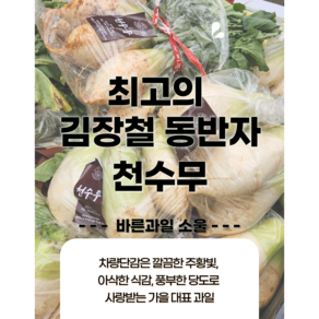 천수무 3~9수 5kg 19 000원