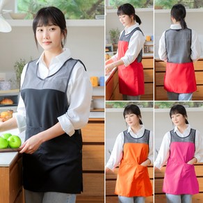 레뷰가운 AE251 망사 앞치마 여름 시원한 원피스 유니폼 요양원 메쉬, AE251 검정M, 1개