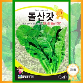 돌산갓 10g / 갓 씨앗 종자 쌈채소 김장 나물 텃밭, 1개