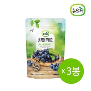 뉴뜨레 냉동과일 블루베리 페루 1kg 3봉 / 총 3kg, 3개