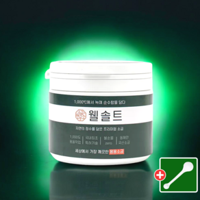 [최상급] 웰솔트 미네랄 용융소금, 500g, 1개