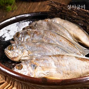 영광 굴비 간편 진공포장 진공포장굴비 40미 참조기 1.6kg 내외 백반집 찌개 튀김용 조림용 가정용, 1