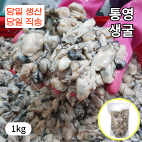 1급청정해수 통영 생 굴 산지직송, 1박스, 1kg