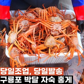 진실수산 수율90% 포항 구룡포 자숙 박달 홍게